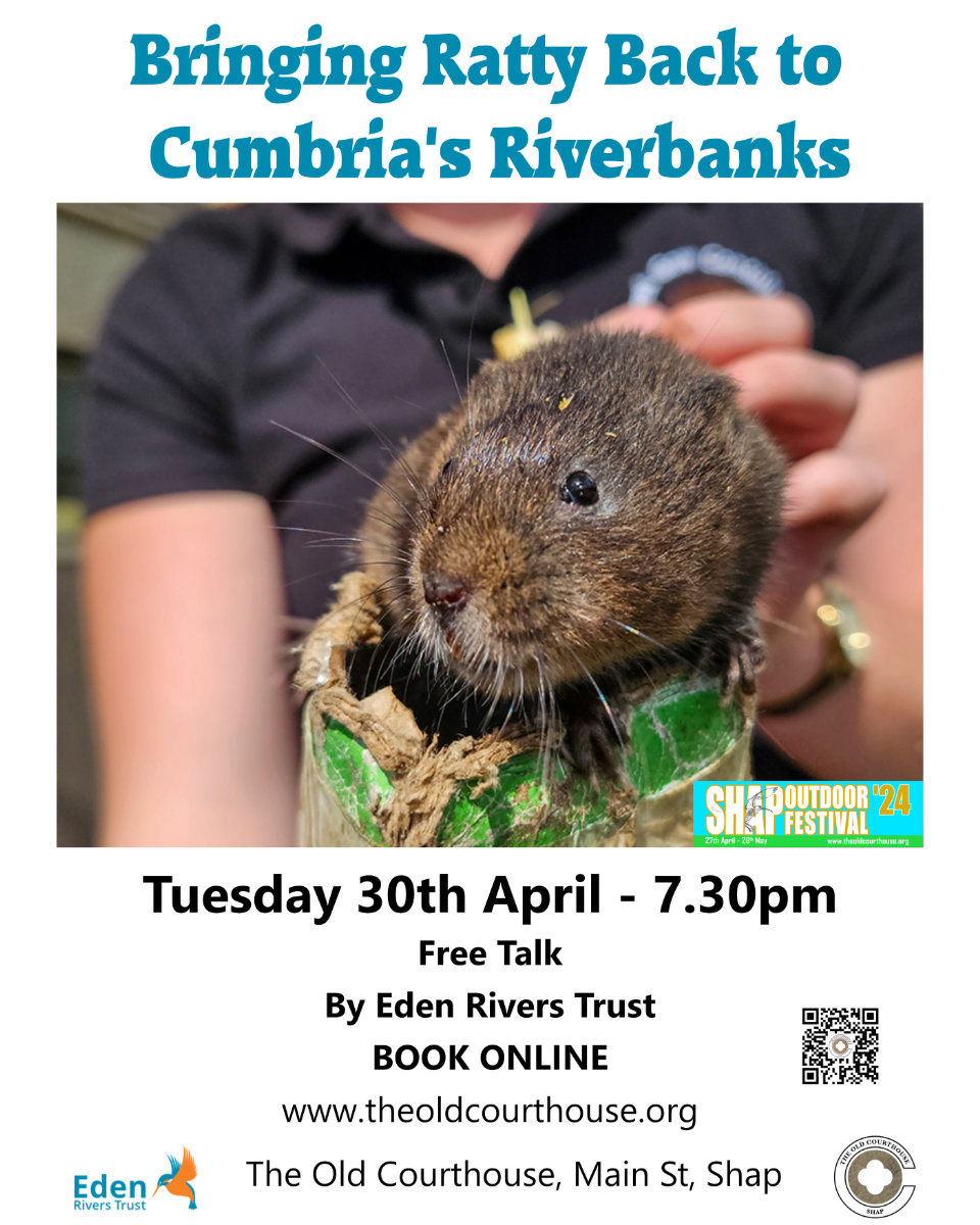 Don't miss our FREE TALK on Tues 30th from @EdenRiversTrust on the reintroduction of water voles back into the #LowtherValley - t.ly/gG2BZ to book #SOF24 #Cumbria @VisitEden @ShowcaseCumbria @BBC_Cumbria @cumbriatourism @CumbriaEden #wildlife