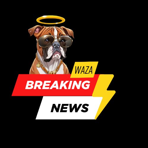Waza Launch Details

$Waza Angel is gearing up to conquer the #Doge Blockchain.

Tokenomics:

The market cap of launch will be 50k.
Why choose presale?

We preferred this launch system to ensure FairMint for all Waza investors 🐾.

Advantages:
Marketing Wallet will be managed by