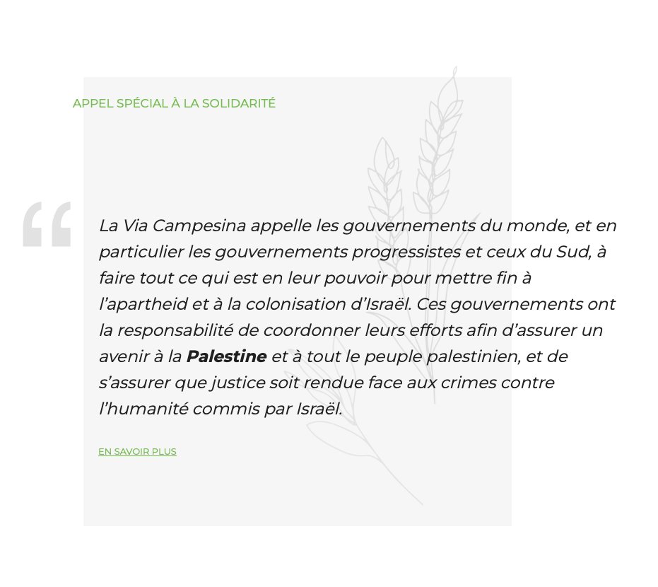 [ Appel à la Solidarité ] @via_campesina appelle les gouvernements du monde à: - mettre fin à l’apartheid et à la colonisation - assurer un avenir à la Palestine et au peuple palestinien - assurer que justice soit rendue face aux crimes contre l’humanité StopGazaStarvation.org