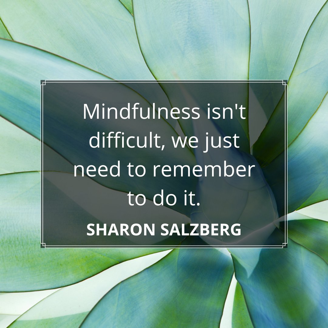 #MondayMindfulness #MindfulMonday #mindfulnessmonday #Mindfulness #Motivation #Mondaymotivation #hr4good