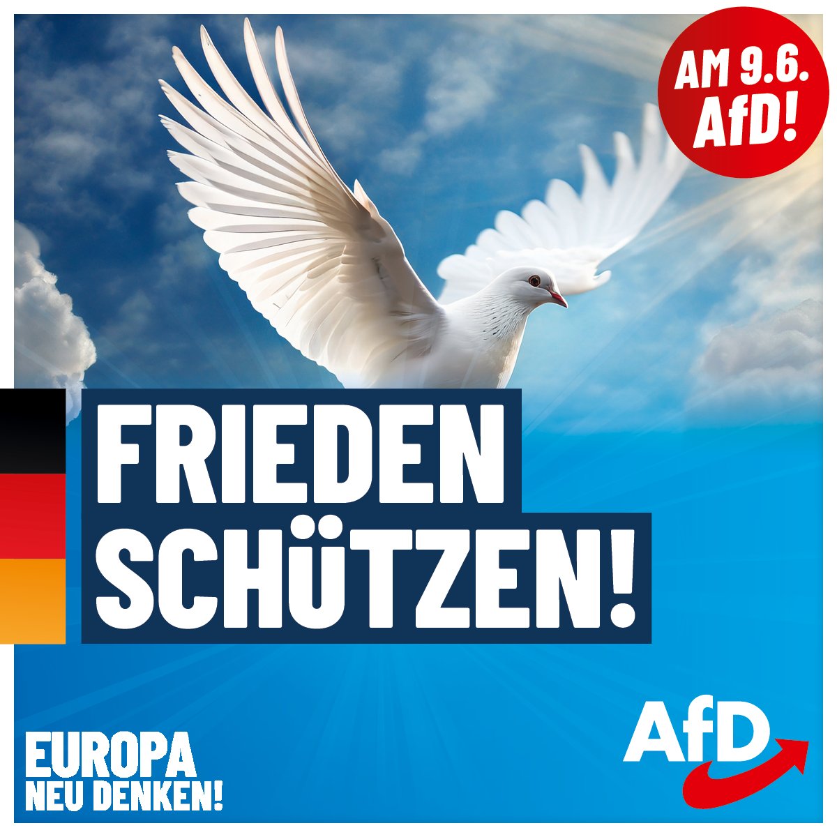 Wusstest Du, dass die #AfD sich gegen Kriegstreiber stellt? Die AfD setzt sich dafür ein, dass der Ukraine-Krieg am Verhandlungstisch beendet wird und lehnt die Waffenlieferungen ab. #DeshalbAfD Informiere Dich jetzt auf afd.de/europa-neu-den… über unsere Ziele für Europa!