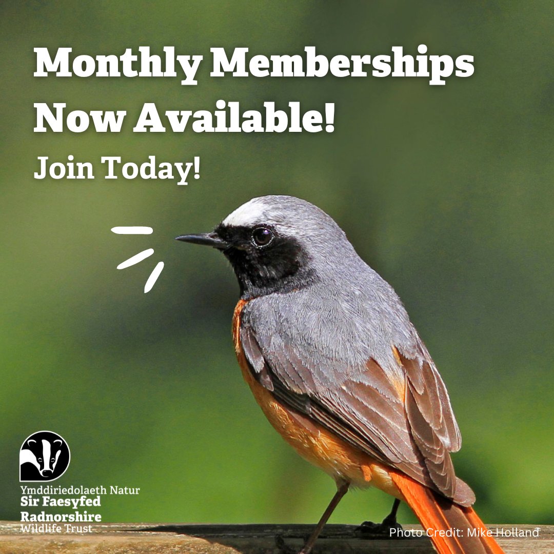 It's time to spread you wings! 🦅 You now have the option to pay your membership fee on a monthly basis!  From just £2.50/month, support Radnorshire's wildlife. Get a welcome pack and newsletter filled with local nature information 🐞 rwtwales.org/become-member