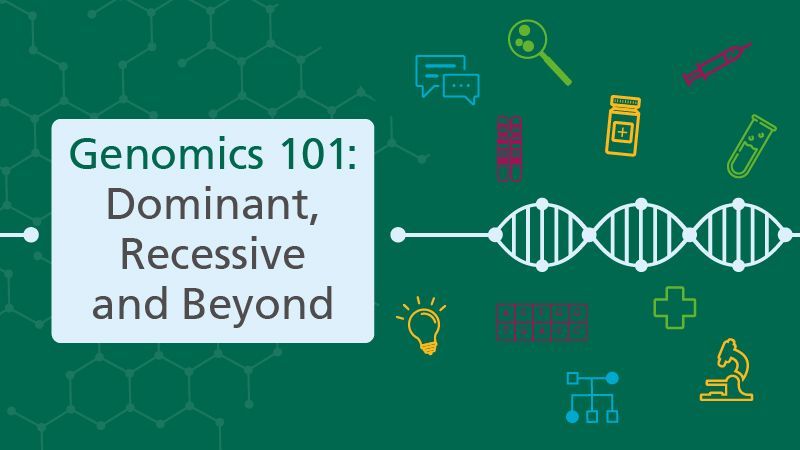 Want to learn more about how we inherit #genetic conditions? Why not take this short online course, part of our free Genomics 101 series, in which we’ll introduce you to concepts such as dominant, recessive and x-linked #inheritance. buff.ly/3w73mdN