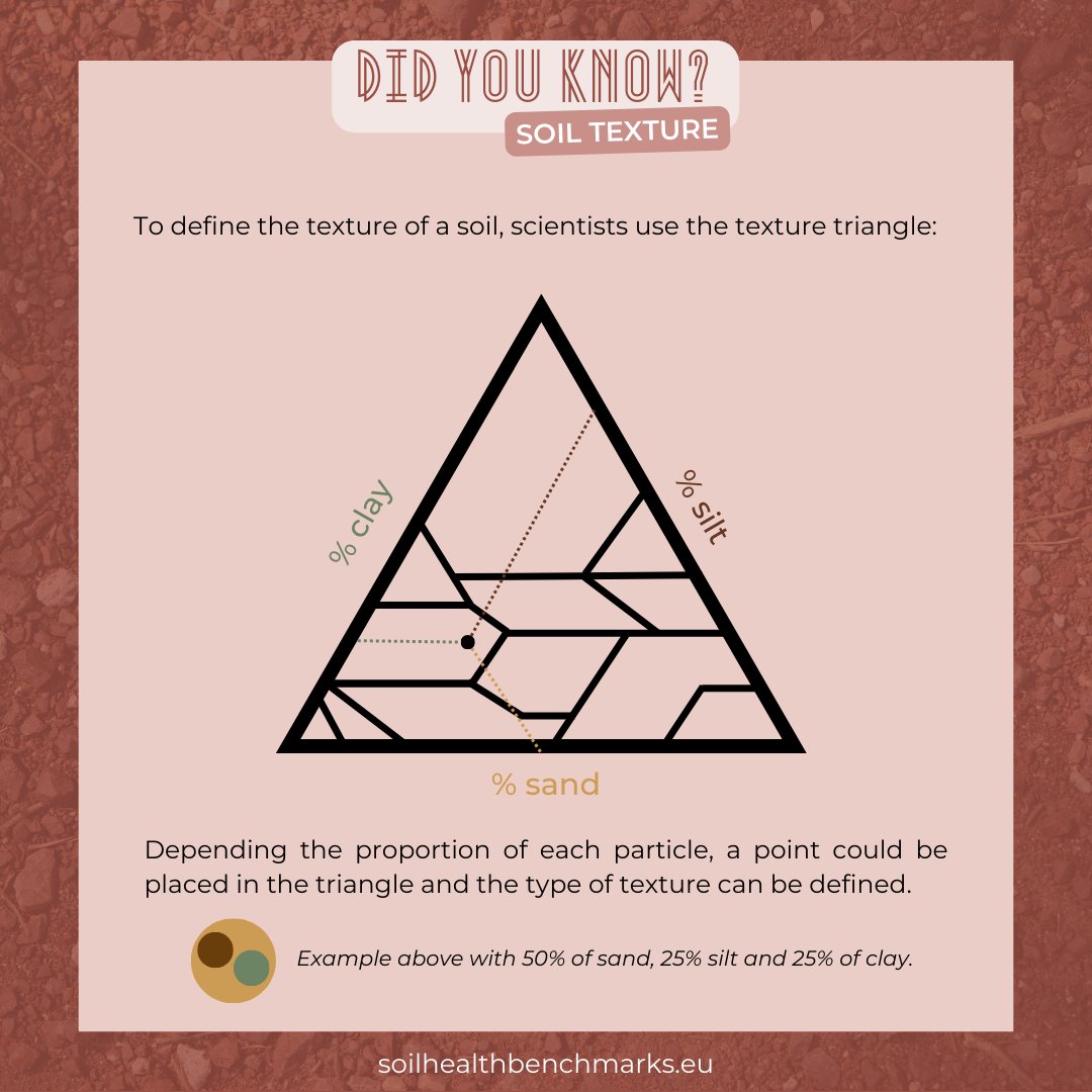 Do you know about the #texture of the #soils? The soil is divided into solid🌱, liquid💧 and gaseous💨 constituents. Solid constituents are particles of rocks and minerals of different sizes, forming the texture of the soil. Learn more about it in this post!