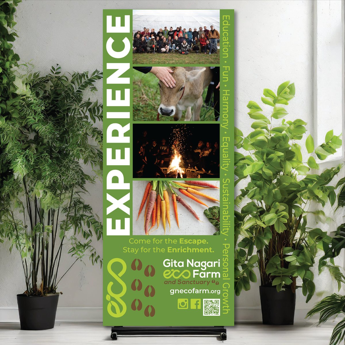 HoofprintMedia's tweet image. Retractable Banner Design for Gita Nagari Farm ✨

#retractablebanner #bannerdesign #custombanner #graphicdesign #hoofprintmedia
