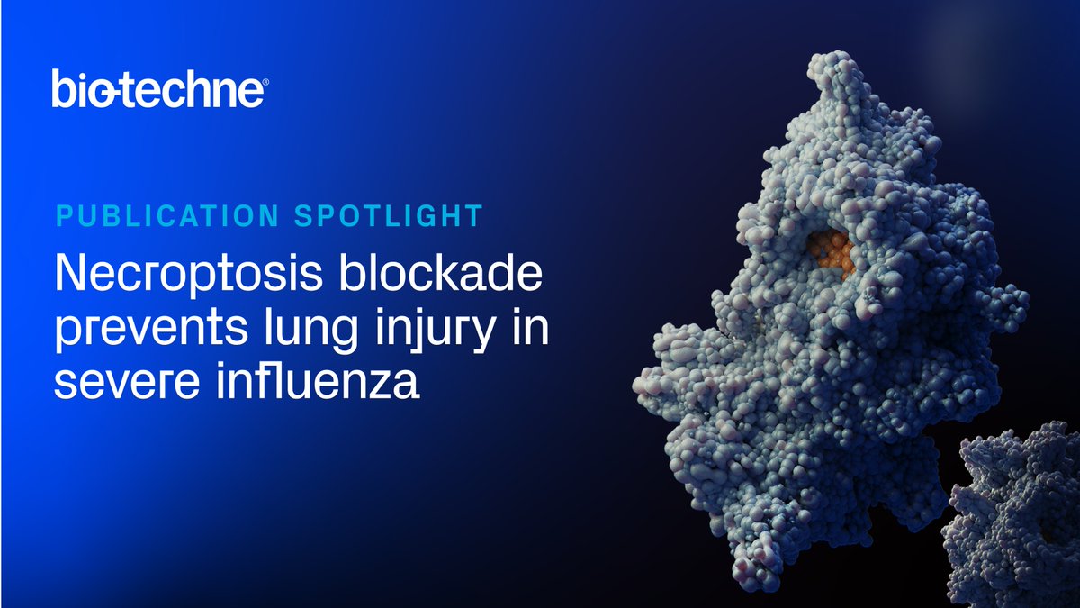 Buy UH15-38, the RIPK3 inhibitor featured in this Nature paper, here: bit.ly/3UcC5yv

#RIPK3 #necroptosis #lung