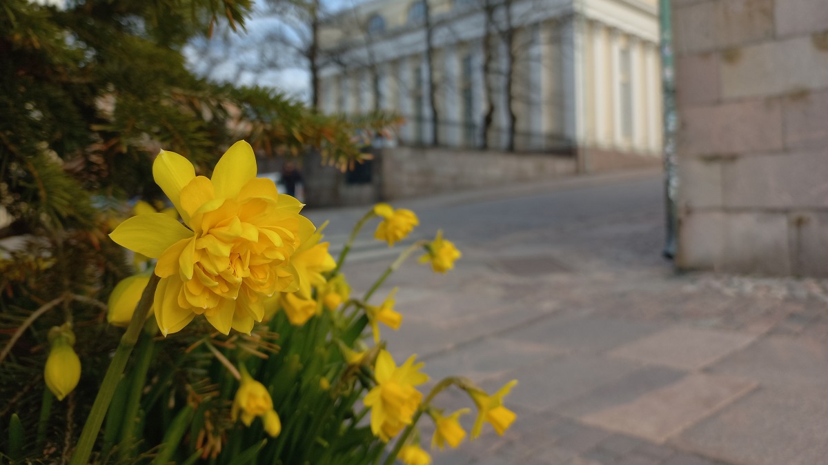 Kansalliskirjasto menee 30.4. kiinni klo 16. Olemme kiinni ke 1.5.2024. Hauskaa vappua! 🇸🇪: Nationalbiblioteket är öppet 30.4. kl. 9–16. Vi har stängt den 1 maj 2024. Glad valborg! 🇬🇧: National Library closes at 4pm on 30 April. We are closed on 1 May 2024. Happy May Day!