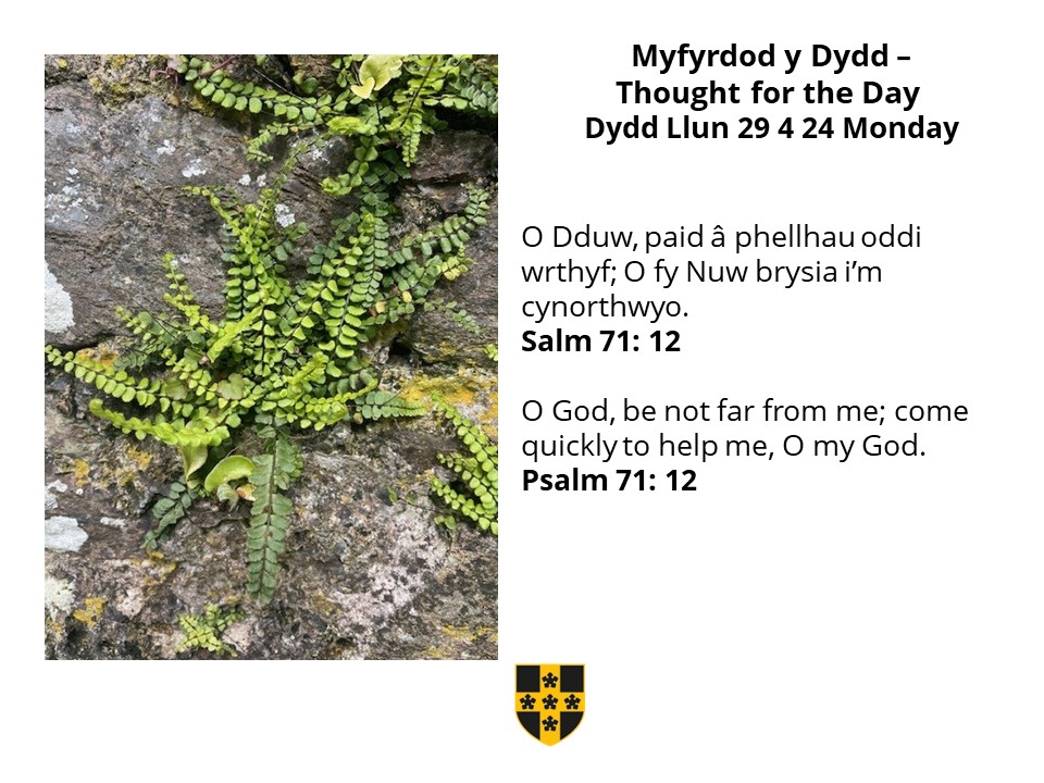 Myfyrdod y Dydd Llun / Thought for Monday 🙏👇 Salm 71 O fy Nuw, cynorthwyo fi. Help me, O my God. @ChurchinWales @CytunNew