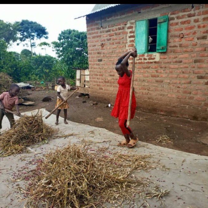 Planned kids are asking themselves why the kids are beating dry grass?