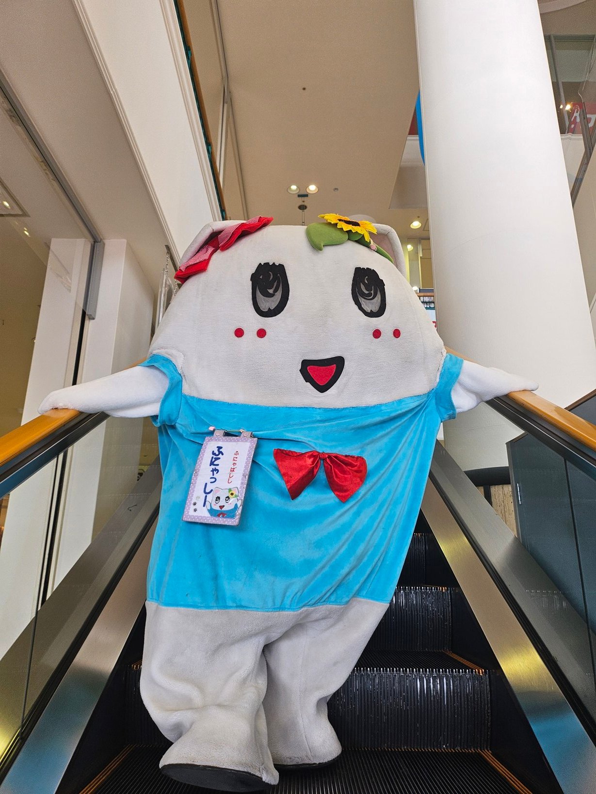 ★ まんたん様 ★ Amazon.co.jp: しろたん ついてきちゃうしろたん マスコット