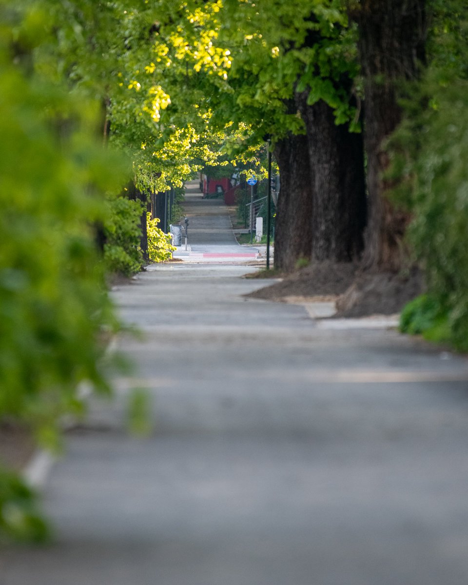 Obdzwaniamy znajomych i wskakujemy na rowery! Na Wojska Polskiego mamy nową ścieżkę rowerową prosto do Łagiewnik 🚲 Więcej informacji 👇 lodz.pl/artykul/nowa-d…