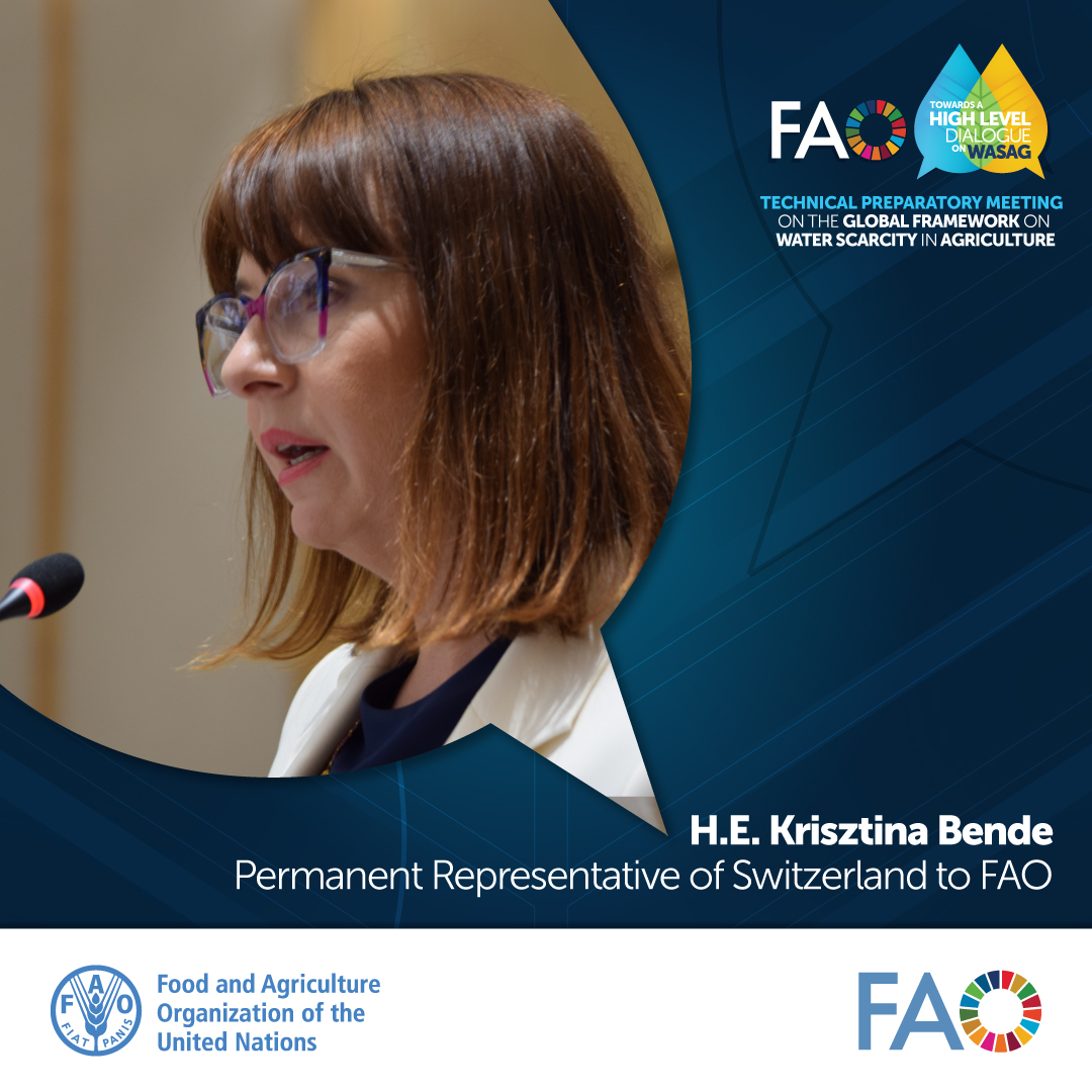 '#Climatechange poses a great threat to food security & nutrition in the world. This is a pressing issue, affecting all regions of the world. Addressing water scarcity in agriculture is of crucial importance' H.E. Krisztina Bende, Permanent Representative of #Switzerland to @FAO