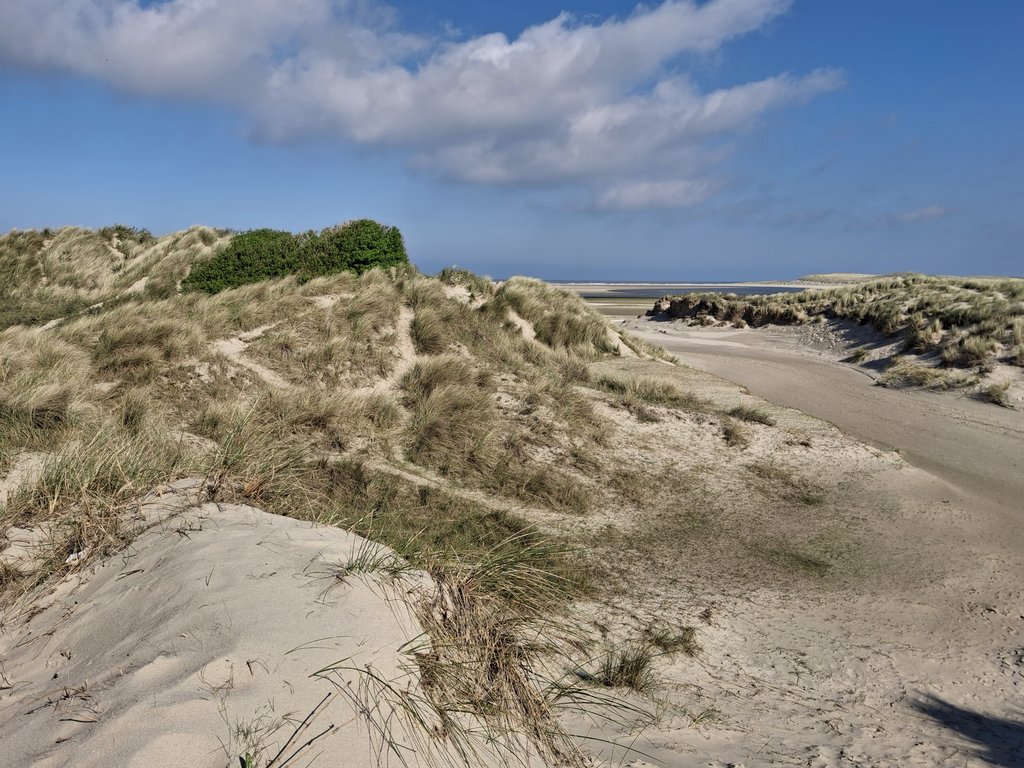 De Slufter #Texel met op de achtergrond het geluid van de leeuwerik.