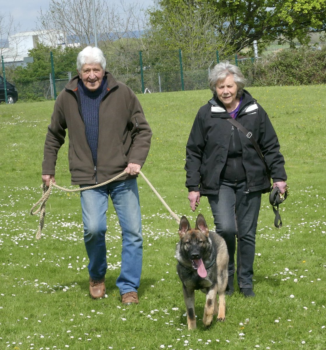 Terry and Jill are looking after TPD Diesel while his puppy walkers are on holiday and so they brought him to training yesterday. Terry & Jill about to turn 80 have puppy walked many dogs for us. Although they no longer do it full time they still provide temporary cover for us.👏