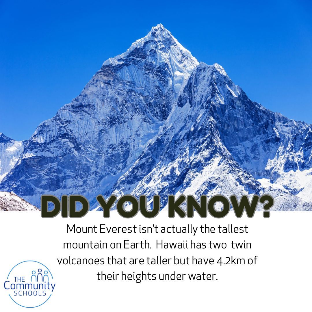 Did you know this fun fact?
#funfact #sciencefact #naturalhistory #sciencetutor #gcsescience #didyouknow #funfact #education #privatetutor #onlinetutor #education #mounteverest