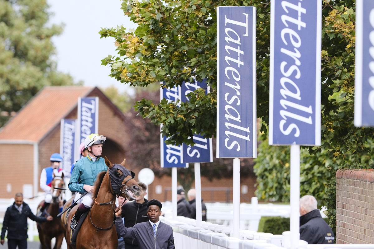 ‼️𝗗𝗢𝗡'𝗧 𝗙𝗢𝗥𝗚𝗘𝗧‼️ Tattersalls £40,000 EBF Fillies' Novice Stakes Tattersalls £40,000 EBF Novice Stakes This Sunday, 5th May, sees @NewmarketRace host the first two Tattersalls sponsored high value developmental races. 𝑬𝒏𝒕𝒓𝒊𝒆𝒔 𝒄𝒍𝒐𝒔𝒆 𝒂𝒕 𝒏𝒐𝒐𝒏