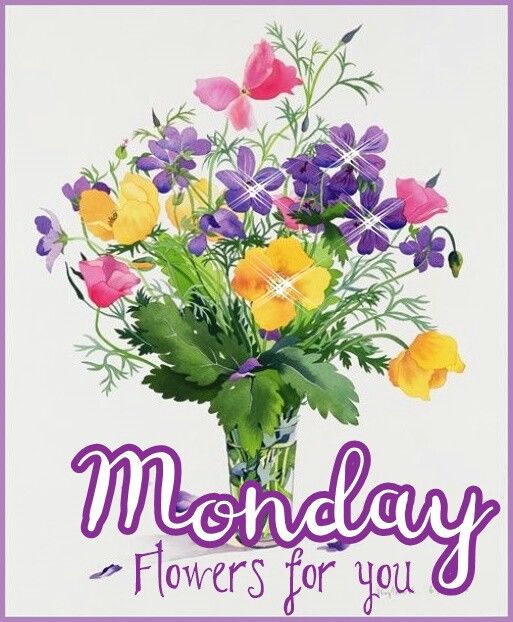 This is a new week full of new energy, new opportunities, new blessings and new loving moments for you all fandom and Can. Open up to get them all with joy ! Happy Monday and an awesome week to all☀️😀🥰🌹🌿
