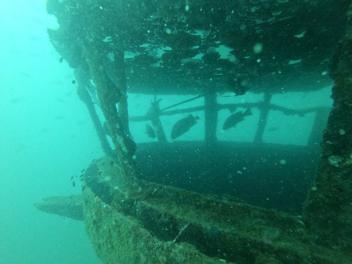 A very well done to our new PADI Advanced Open Water Divers, Trihn, Darren, Pepe, Jake and Arno! This course is designed for those who wish to explore more exciting and diverse dive sites! blackturtledive.com/padi-diving-co… #fundiving #kohtao #learning #openwater #scuba #diving #PADI