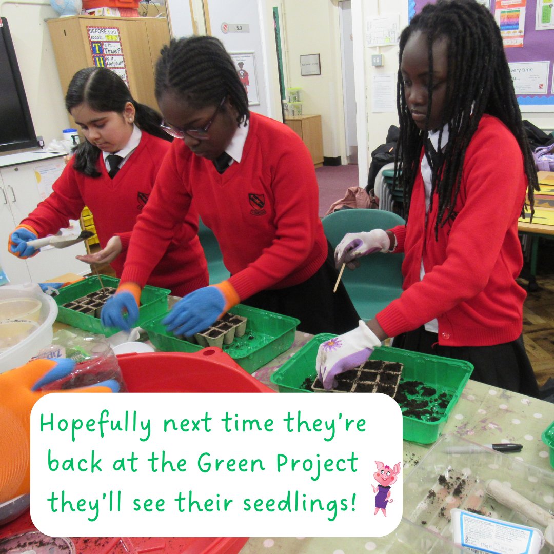 We went to Winterbourne Junior Girls school recently as part of our Green Project.

We should them how to sow seeds and they listened so carefully before trying themselves 🙌🏾

 And wait to see the seedlings 🌱 

#pamperindulgegive #greenproject