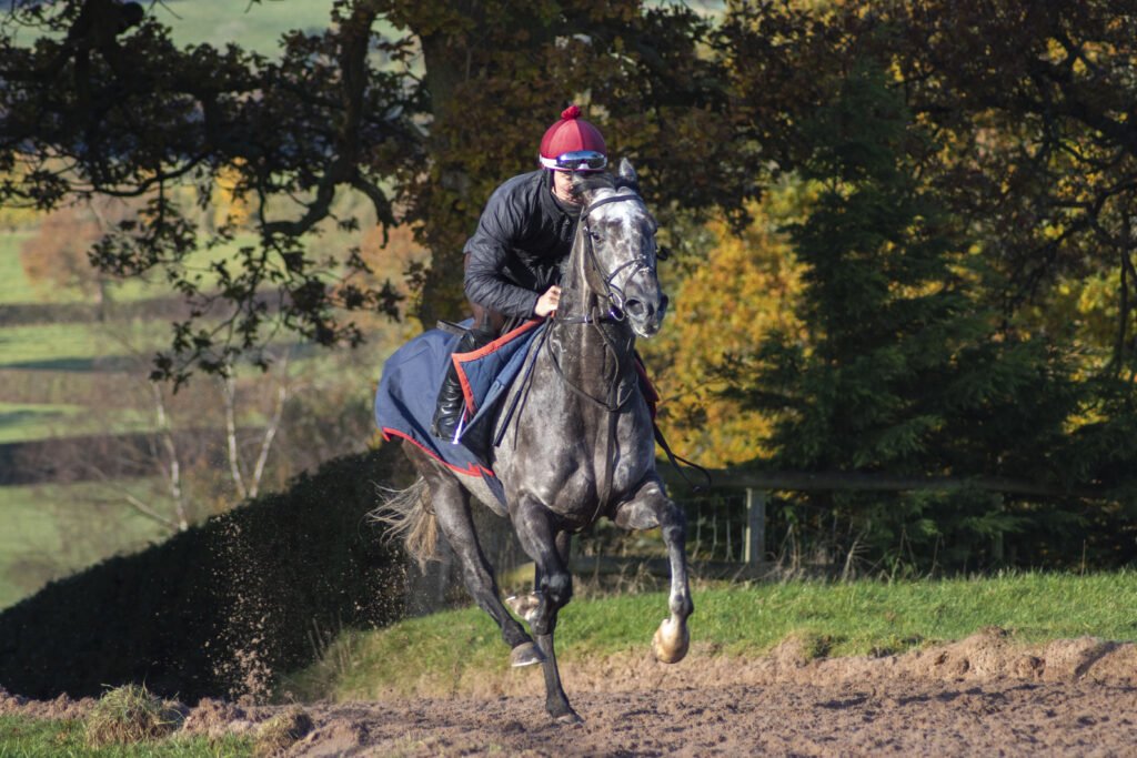 One runner this evening with Devasboy with a visor back on for @DevaRacing_ going in the last @WolvesRaces under @davidprobert9 🏇 👉 bit.ly/3iSPA3A