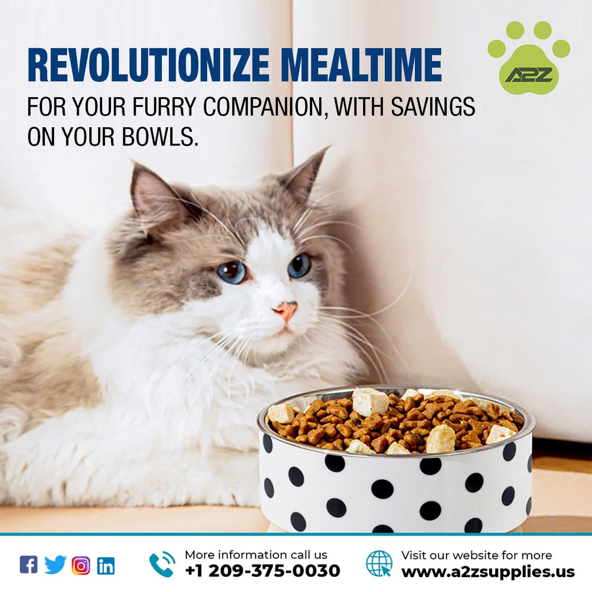 Revolutionize mealtime for your furry companion, with savings on your bowls.

#bowlingtime #petfood #petcare #petessentials #petsofinstagram