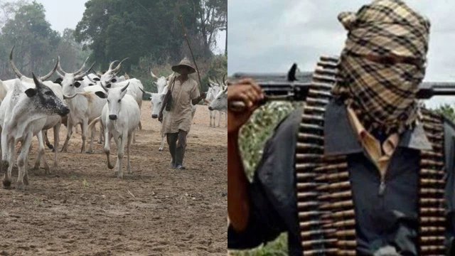 This is the kind of madness , we continue to experience in Nigeria, because the political bandits,  from Abuja to Enugu and other 35 stated government houses, refuse to ban open grazing and empower the indigenous people,  to protect themselves and eliminate,  these terrorists,…