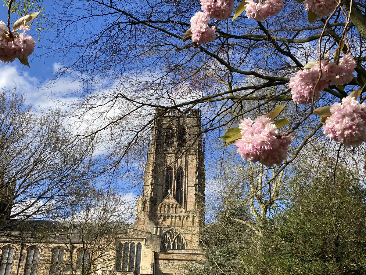 @durhamcathedral The blossom is looking great & the wild garlic down by the river