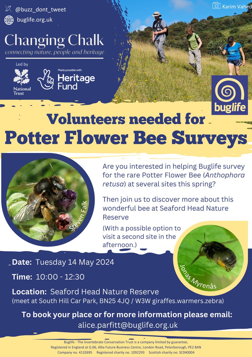 Interested in helping Buglife survey for the rare Potter Flower Bee (Anthophora retusa) at several sites this spring? 🗓️ Tuesday 14 May 🕖 10:00–12:30 📌 Seaford Head Nature Reserve, BN25 4JQ 🐝Come & find out more about this wonderful bee! 👇#ChangingChalk #CitizenScience