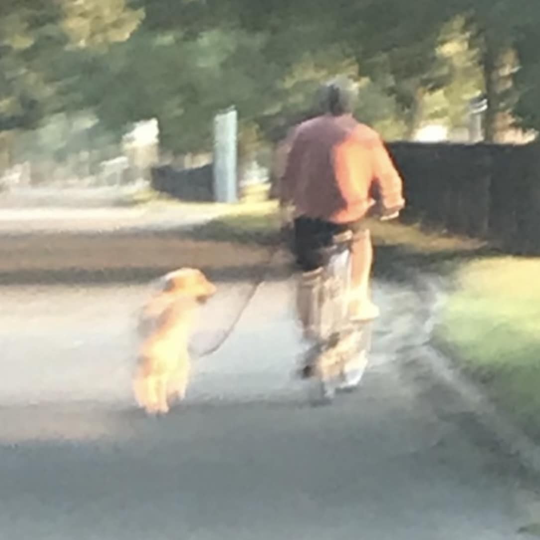 Here is a fankoo to dog moms n dads who lub us. Dis is me n my dad. He made ebbyday my best day. I lubbed our bike rides n walkys n play time n snak time n yard time n all our times. He was my whole life. Fankoo fur bein ur doggy's whole life. 💛 #dogsarelove