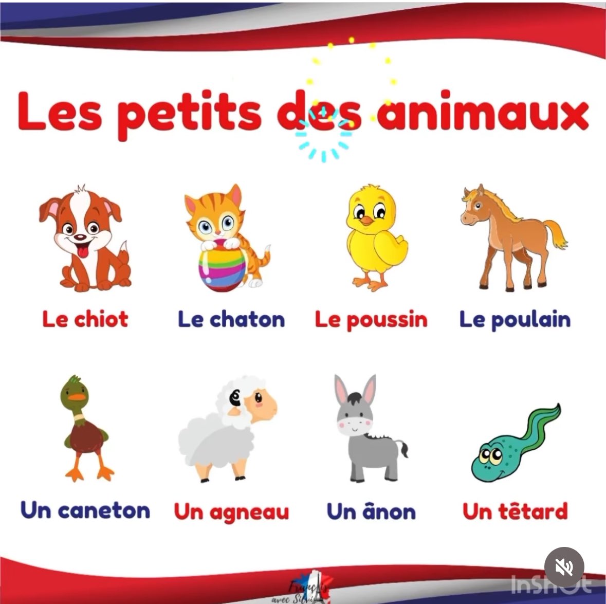 #fle #learnfrench #FLE