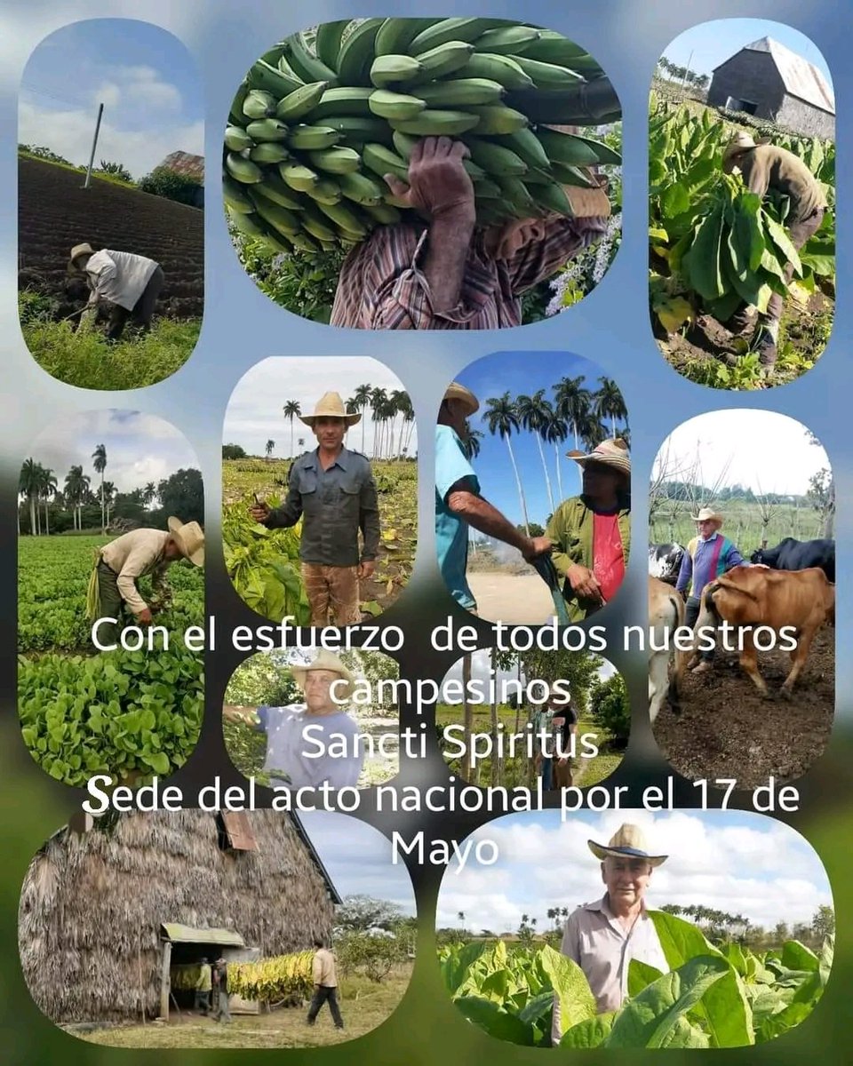 La provincia de #SanctiSpíritusEnMarcha  mereció el primer lugar en la emulación por el #17deMayo, aniversario 65 de la Asociación Nacional de Agricultores Pequeños y Día del campesino.
#Felicitaciones
#CampesinosCubanos