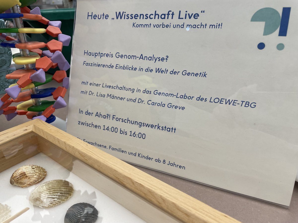 LOEWE Centre Translational Biodiversity Genomics (@loewe_tbg) on Twitter photo The #diversity of #molluscs 🐌🐙🐚🦑, the winner of the International #molluscoftheyear 2024, and how to sequence a #genome 🧬were to be discovered in the <a href="/Senckenberg/">SENCKENBERG</a> museum yesterday, including a live video stream to the <a href="/LOEWE_TBG/">LOEWE Centre Translational Biodiversity Genomics</a> lab and a hands-on session for kids. 👩🔬👨🔬👍 The #diversity of #molluscs 🐌🐙🐚🦑, the winner of the International #molluscoftheyear 2024, and how to sequence a #genome 🧬were to be discovered in the <a href="/Senckenberg/">SENCKENBERG</a> museum yesterday, including a live video stream to the <a href="/LOEWE_TBG/">LOEWE Centre Translational Biodiversity Genomics</a> lab and a hands-on session for kids. 👩🔬👨🔬👍