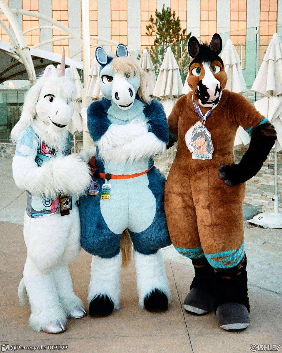 Oh you know, just talkin' bout horse things. 🦄🐴🐴

📷: Olympus ∞Stylus (Kodak Portra 800)