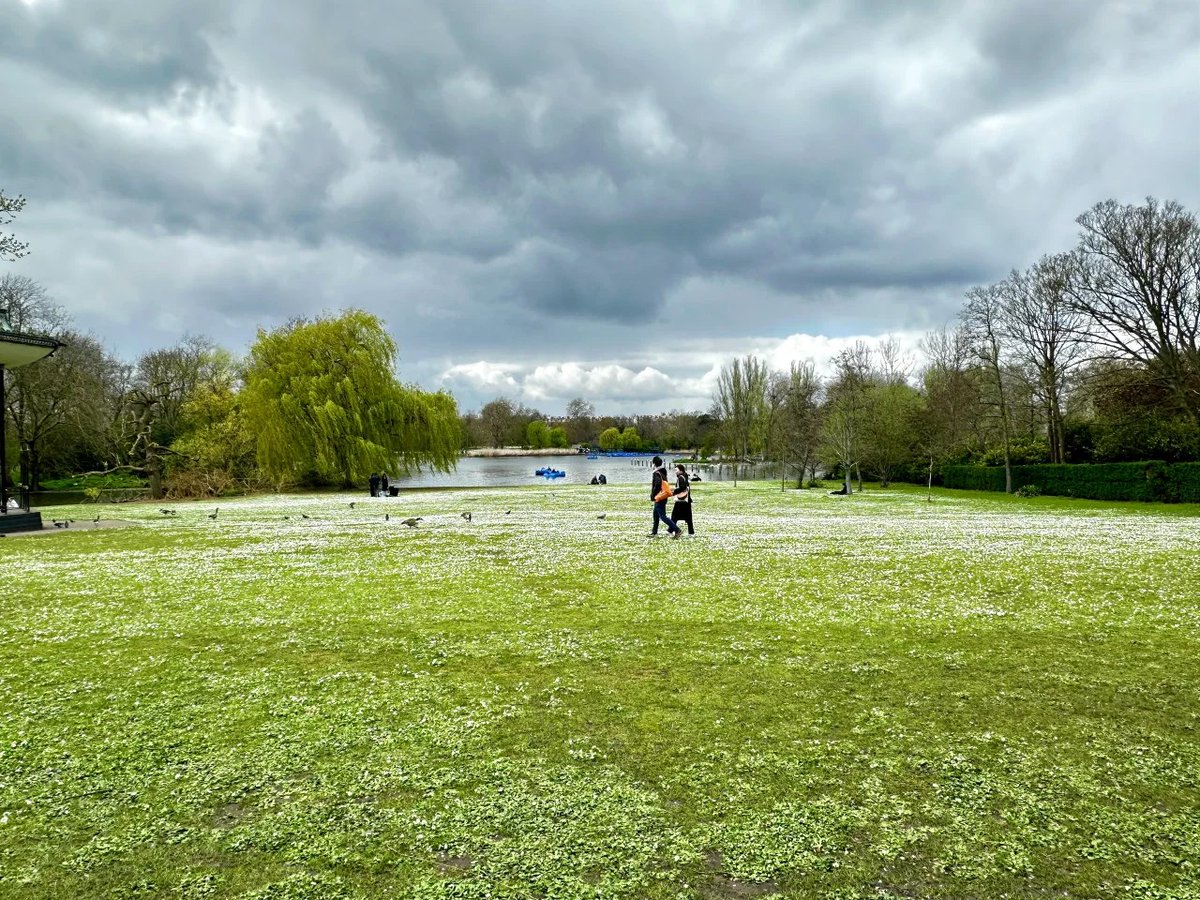 luaar22's tweet image. Look deep into nature, and then you will understand everything better.