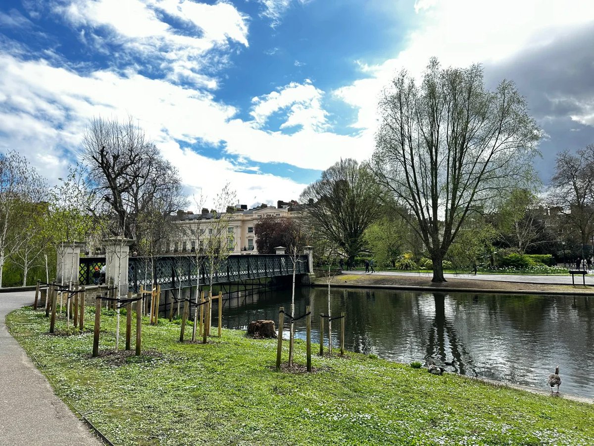 luaar22's tweet image. Look deep into nature, and then you will understand everything better.