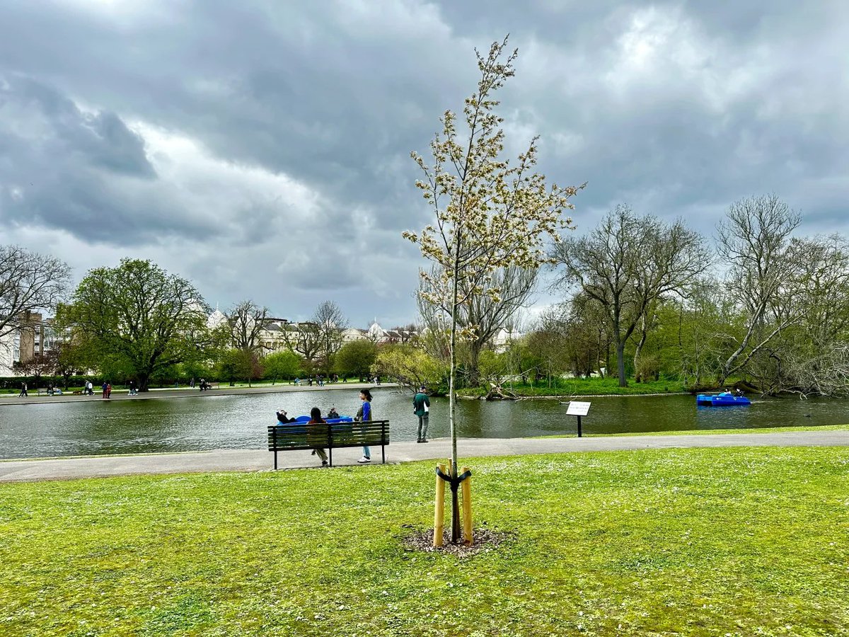 luaar22's tweet image. Look deep into nature, and then you will understand everything better.