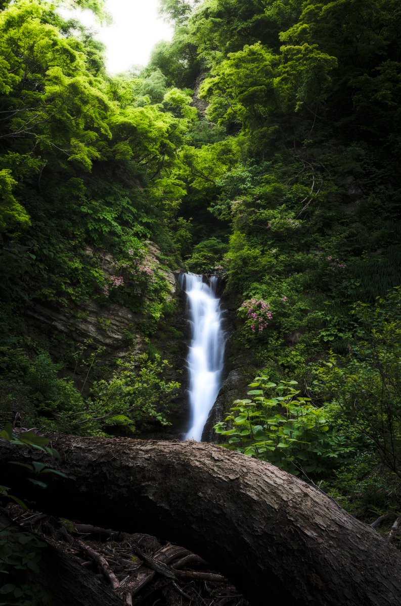 山奥に流れ落ちる滝