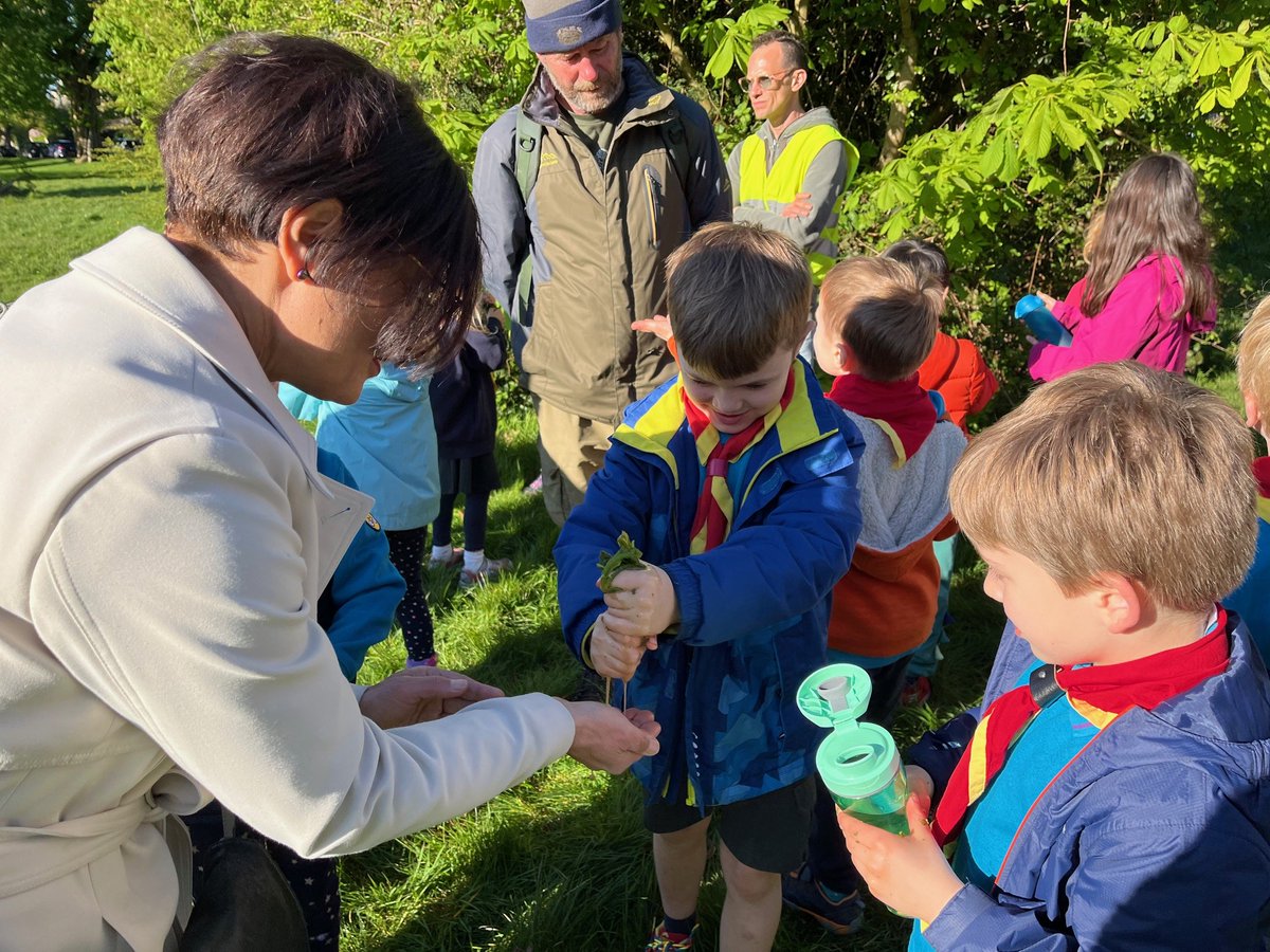Last week @thangammp Shadow Secretary for Culture, Media and Sport visited a beavers group in her constituency. Led by a nature expert they spent the session outdoors foraging and learning new uses for plants, including how horse chestnut leaves can be used as soap.