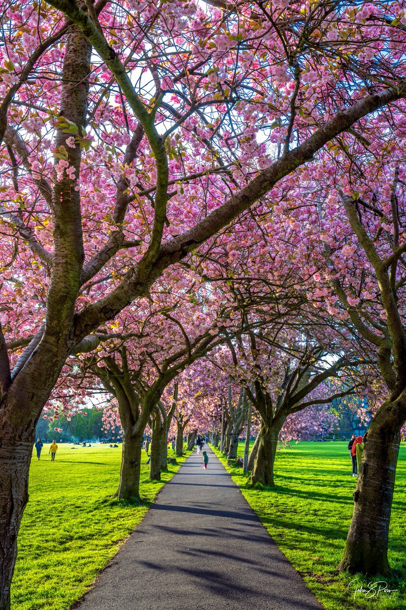 Scottish Field tweet media