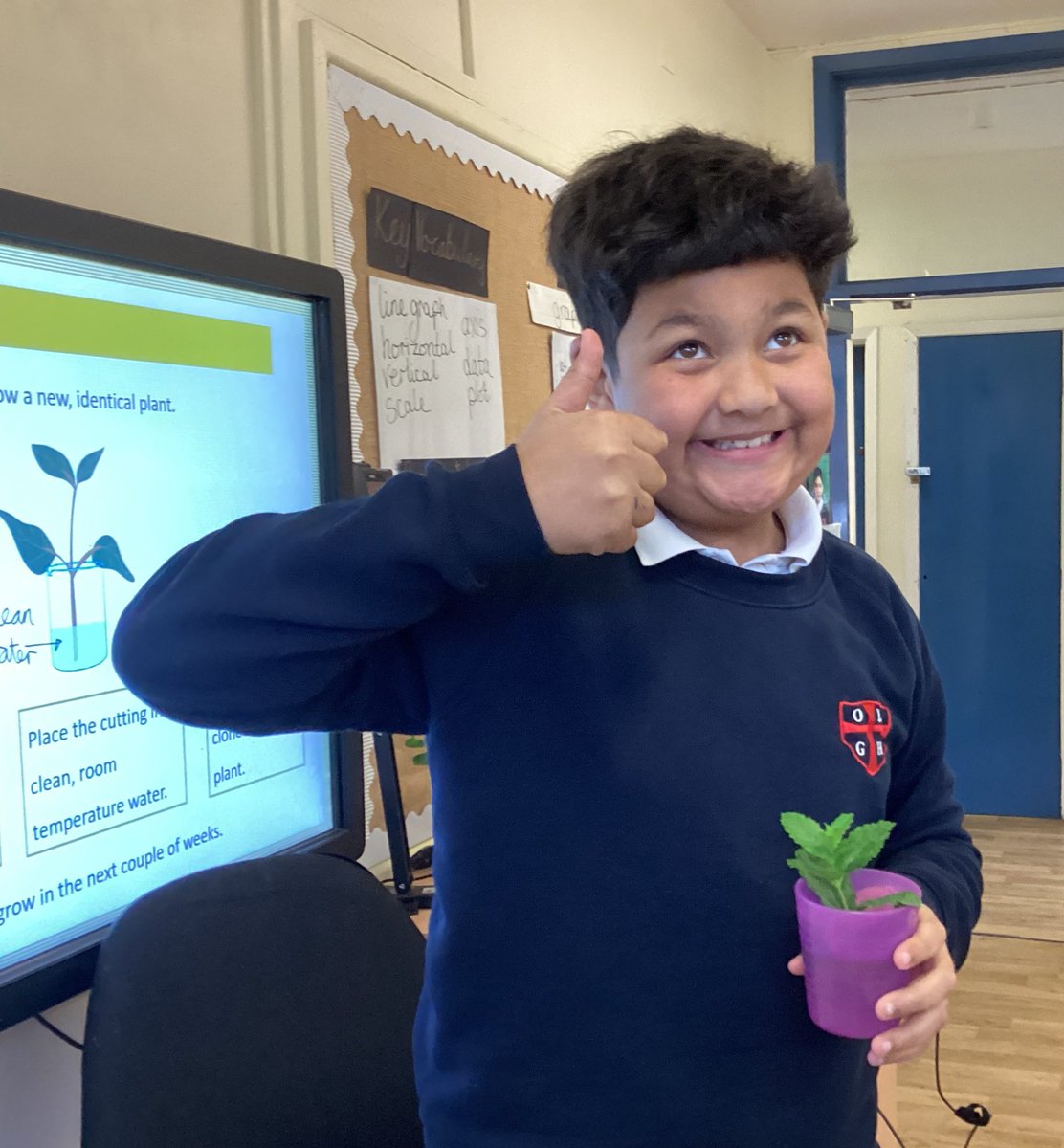 OLGHLiverpool's tweet photo. During #OLGHScience we found the #node of the mint plant and made a #cutting. Do you think this cutting will grow? @anna_hep #OLGHy5 https://t.co/aMUo5RPZiS