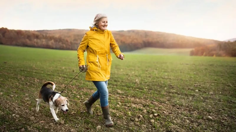 How the way you walk tells the story of your health. Your gait is a fundamental clinical measure of your health, including future changes in cognitive and emotional health, writes @aidan_boran @DCU @insight_centre @scienceirel rte.ie/brainstorm/202…