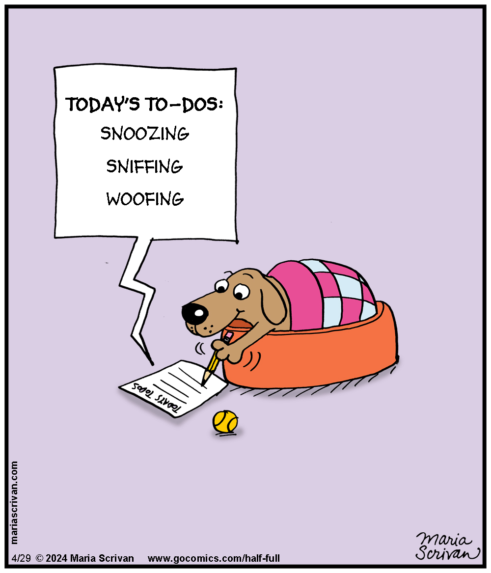 Read and subscribe: gocomics.com/half-full #comics #digitalart #joke #funny #humor #dogs