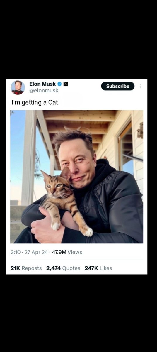 Dear @elonmusk when have you get some #Catcoin ?
