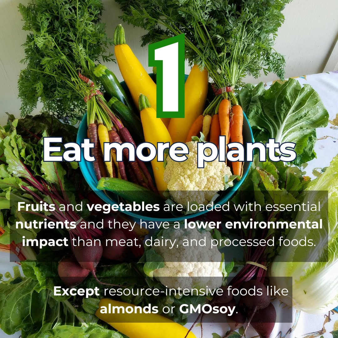 CircularInfluen's tweet image. Three simple tips that will make a positive impact in your life.

Check them out 😉

#foodlover #Sustainability  #seasonal