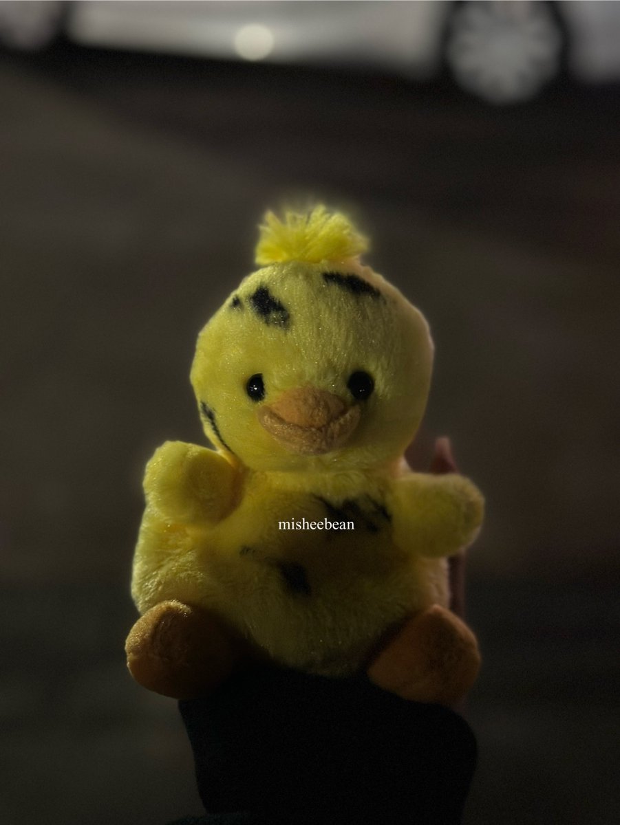 NI_KISTUDIO's tweet photo. ni-ki turned another duckling into a puma duck 😂 #NI_KI #니키
https://t.co/fH7rthwxtM