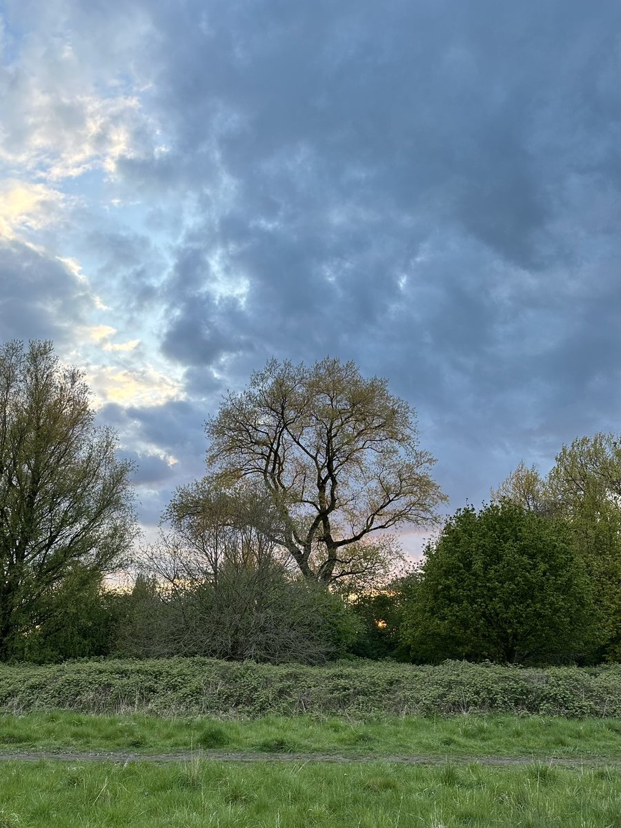 When you can’t get #outdoors viewing #nature is a healthy replacement. 

Last nights #sunset in @ryebankfields #manchester 
#dailydoseofnature #365dayswild #wellbeing #therapy #mindfulness #naturephotography #therapistsconnect #selfcare #mentalhealth #health #MondayMotivation