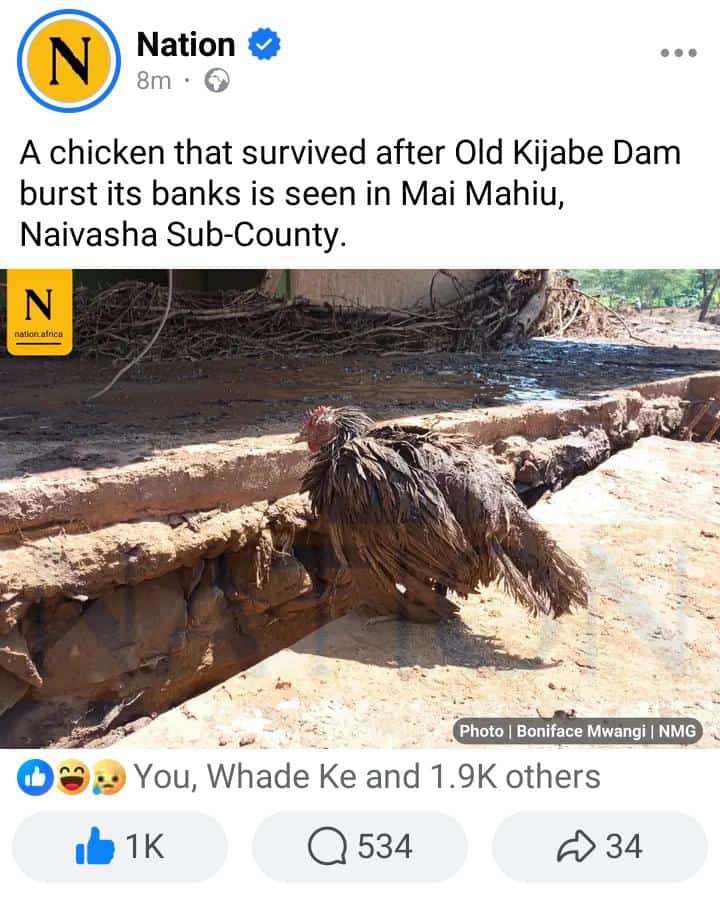 Bahati Bu'Kuku