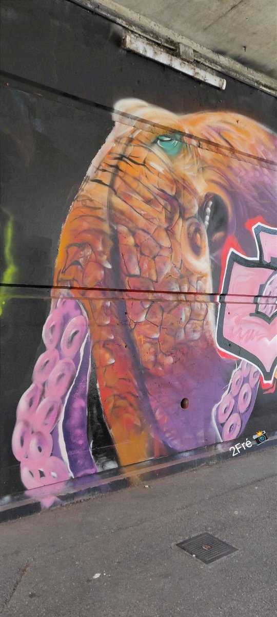 Monday #graffiti ya all.. #StreetArt by Aroke.(Nissa06)