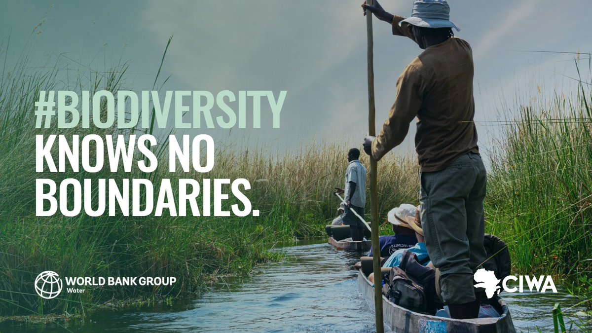 Why does #biodiversity in #transboundary #African waters matter? 🤔💭 It can have many benefits, especially in rural areas: 🧑🏿‍🔧 job creation, 📈 poverty alleviation, 🌍 climate resilience Read our @CIWAprogram blog for more! 👉🏿 buff.ly/3pRcO18 #BuildBackBiodiversity