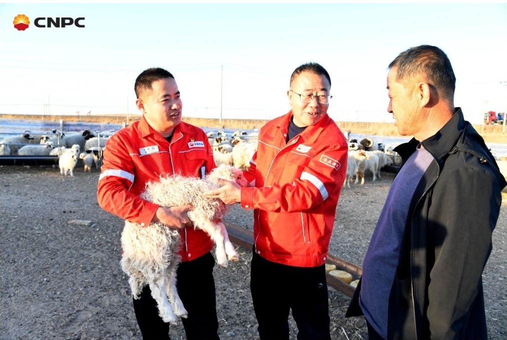 🤝Since July 2023, PetroChina Changqing Oilfield Company has been deeply involved in revitalizing Xinjian, Ningxia. Their dedicated efforts have kicked off a prune planting initiative aimed at boosting local incomes and sustainable growth.📈 #CSR #CNPCwithCommunity @NingxiaCN